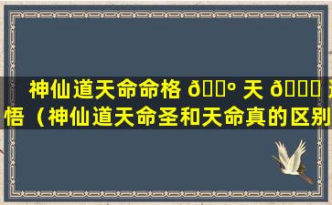 神仙道天命命格 🌺 天 🐈 道悟（神仙道天命圣和天命真的区别）